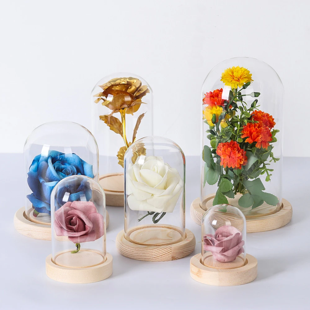 

Glass Vases Flower Display Cloche Bell Jar Terrarium Bottle With Wooden Base Dust Cover Immortal Storage Box Home Tabletop Decor