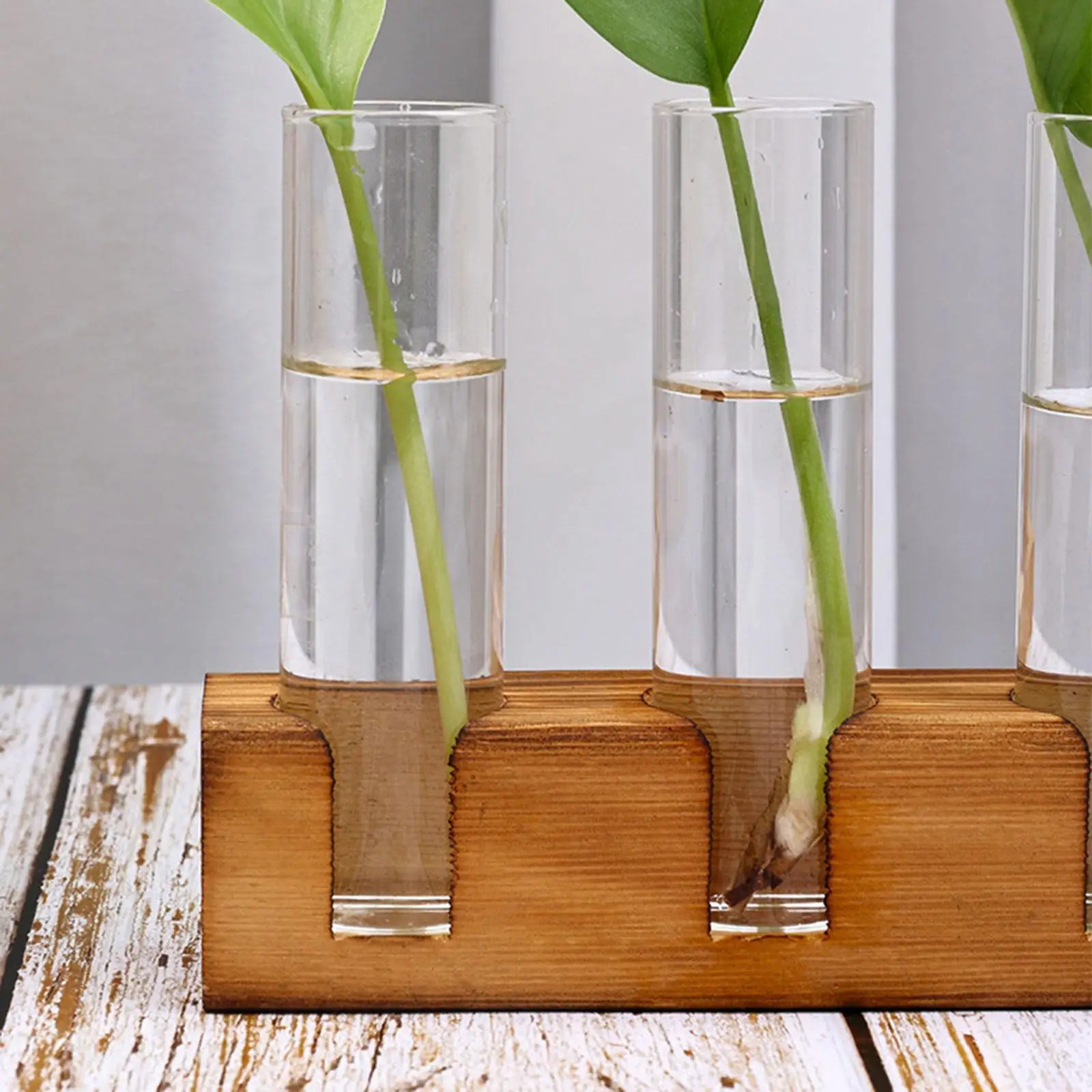 Станция размножения растений держатель для композиции прозрачный горшок