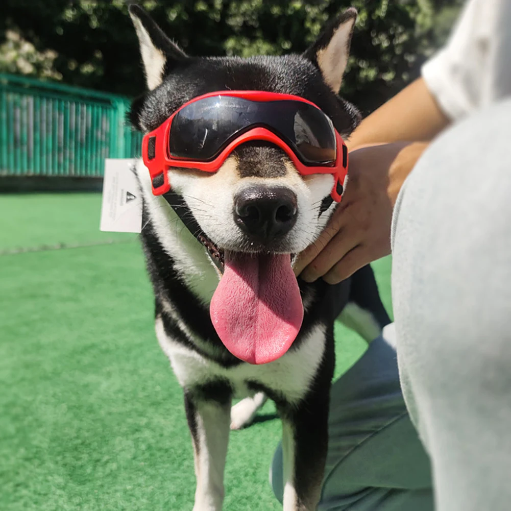

Pet Glasses Puppy UV Protection Goggles Eye Wear Colorful Transparent Sunglasses Sunlight Blocking Pet Decorations