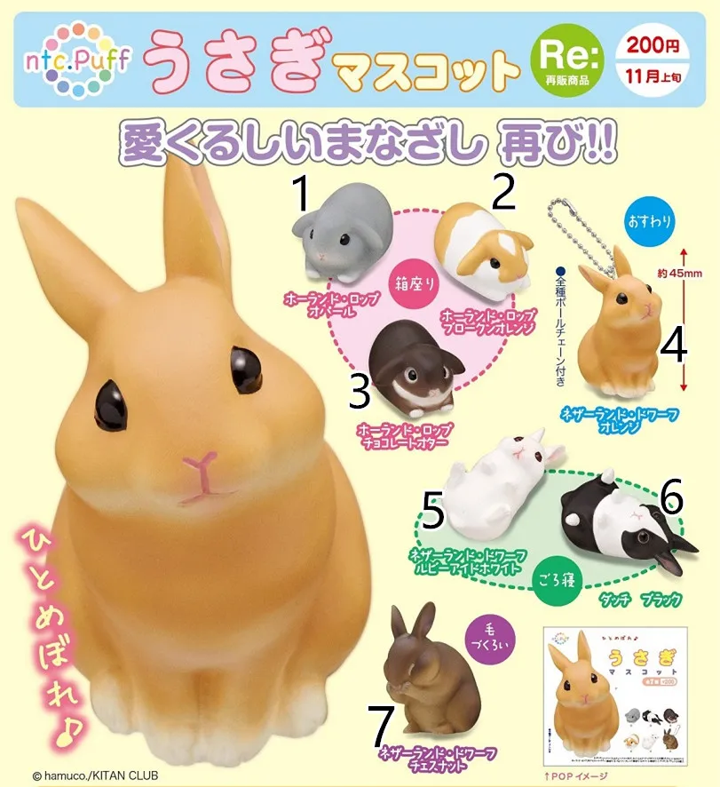 

KITAN CLUB Gashapon Bunny Figure Gacahpon NTC Cute Rabbit Pendants Table Ornaments Capsule Toy Children Gifts