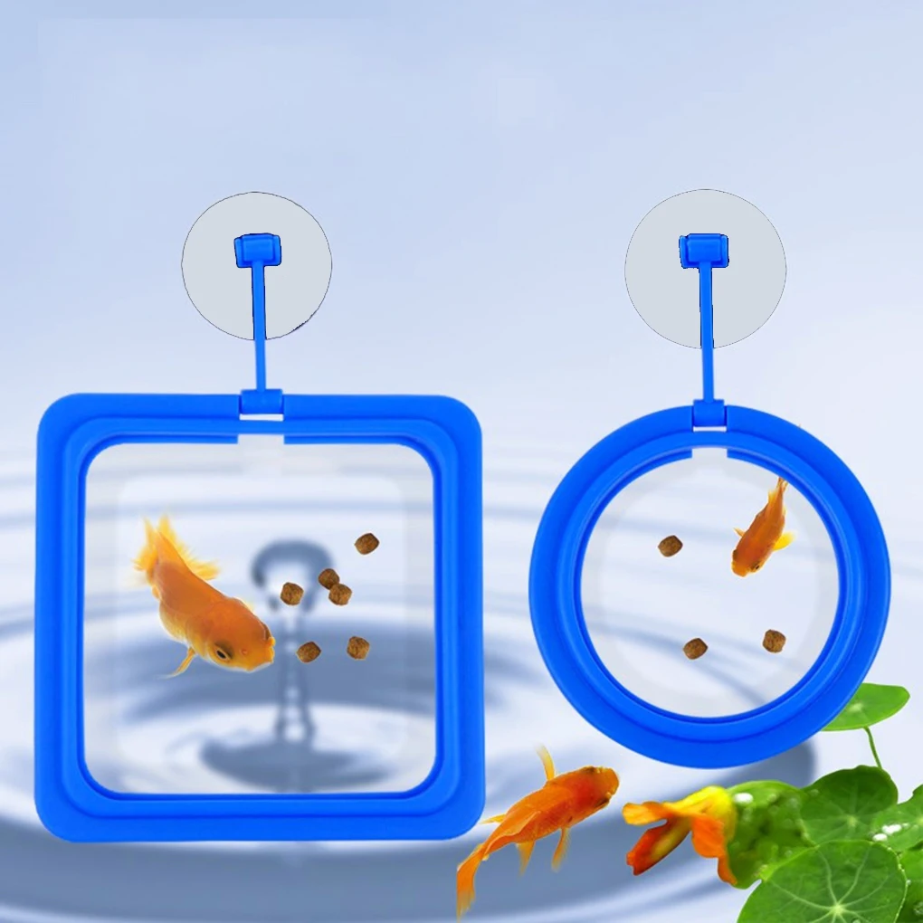 5pcs Fish Food Ring Aquarium Fish Tank Small Type Tropical Fish Feeder Feeding Ring Aquarium Accessories