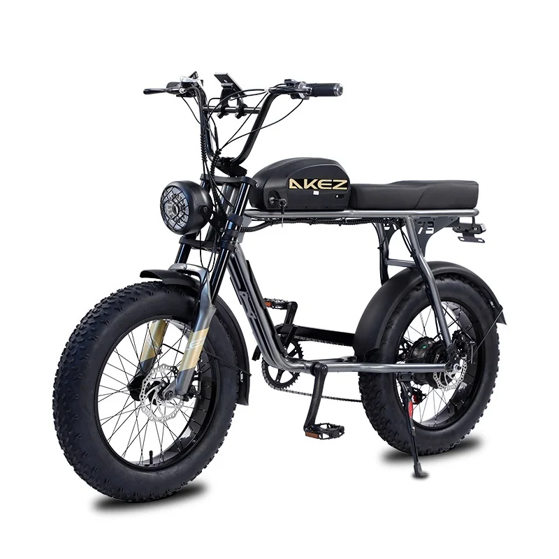 

20 Inch Electric Bike Fat Tire 48V 350W/750W/1500W Electric Bicycle For Adults S3RX eBike With Removable Battery