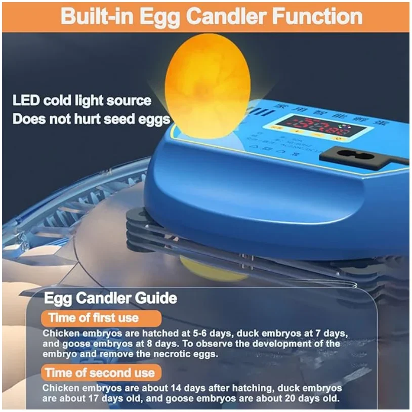 Автоматическое вращение птиц и спасательных кругов