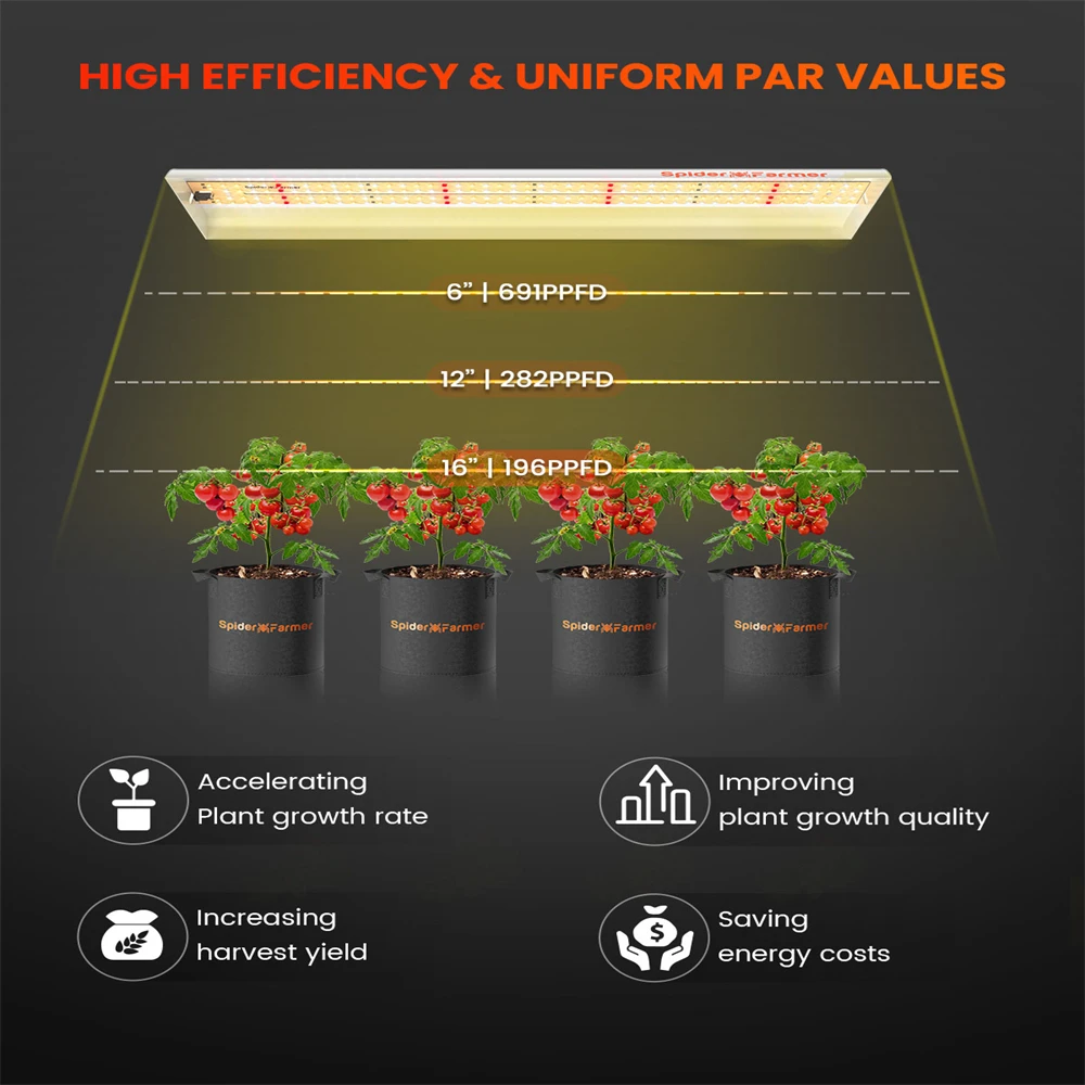 Рисунок 3 - Spider фермер SF300