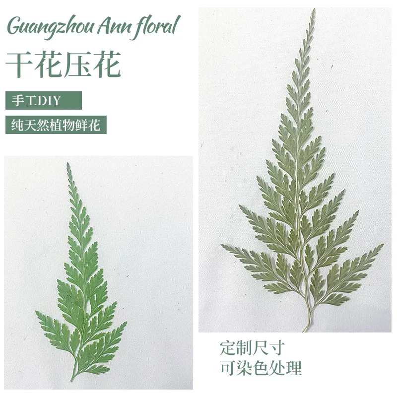 Сушеный цветок черный папоротник искусственный материал настольная лампа свеча