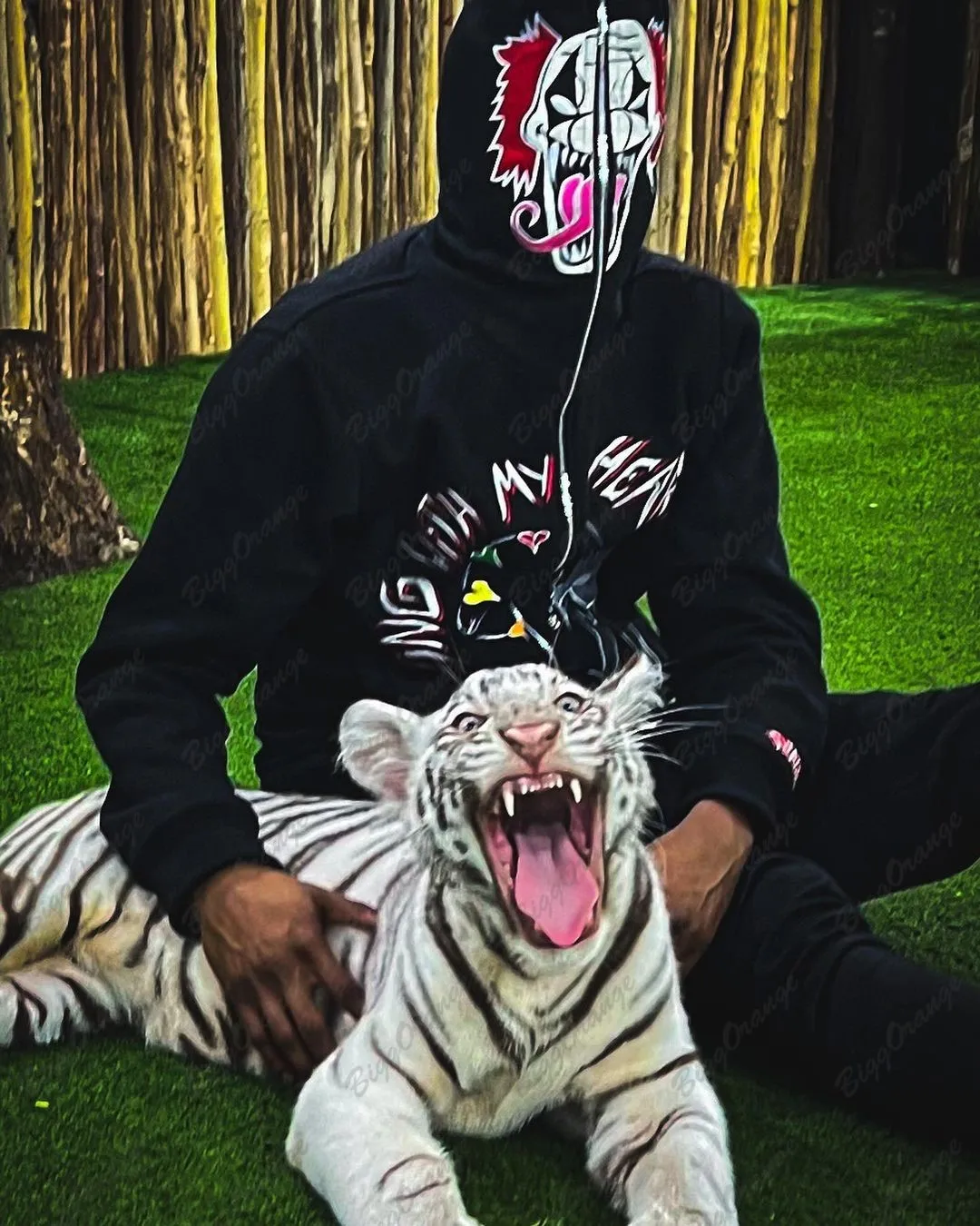 Рисунок 4 - Американская осенне-зимняя Черная