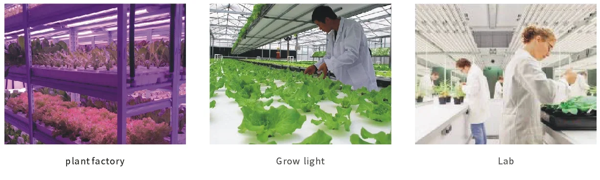 OHSP-350P Лабораторное оборудование Ручной спектрометр PAR 350-800 нм для садоводства