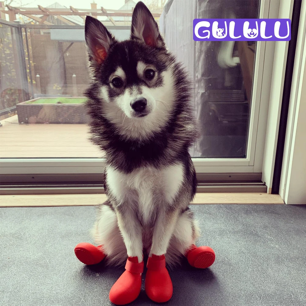 

GULULU Pet Dog Shoes Silica gel Dog Socks Anti Slip Waterproof Rubber Dog Boots Outdoor Puppy Accessories zapatos perro 2022