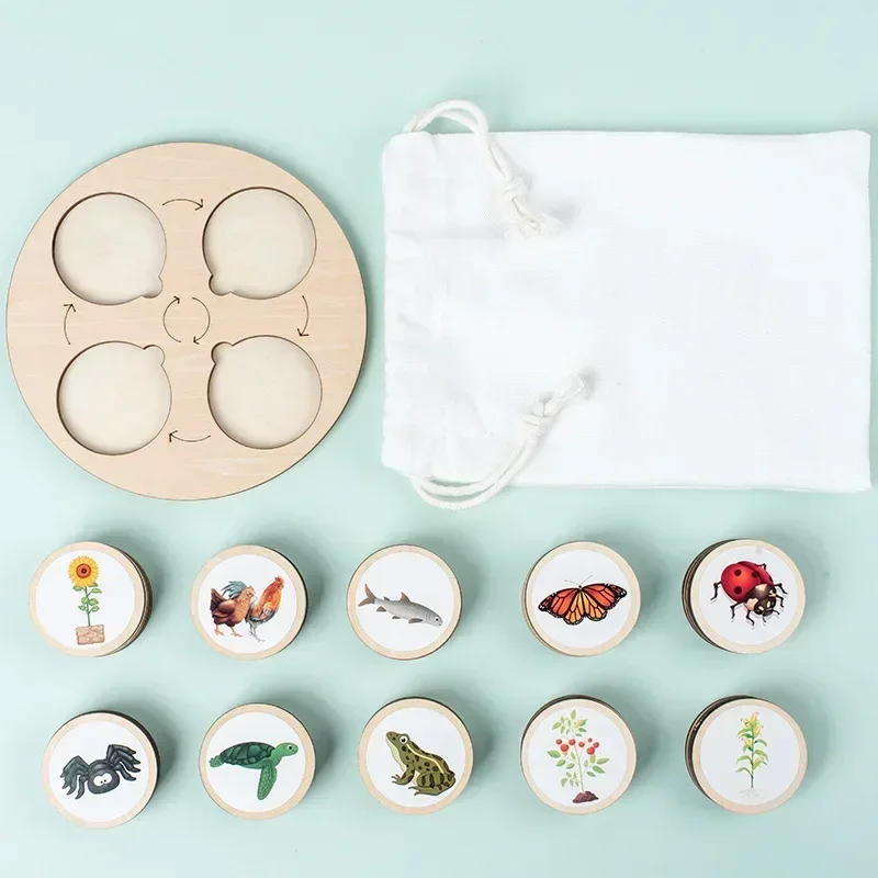 Animal Life Cycle Board Children Toys Montessori Teaching Aids Plant Growth Model Set preschool cognitive