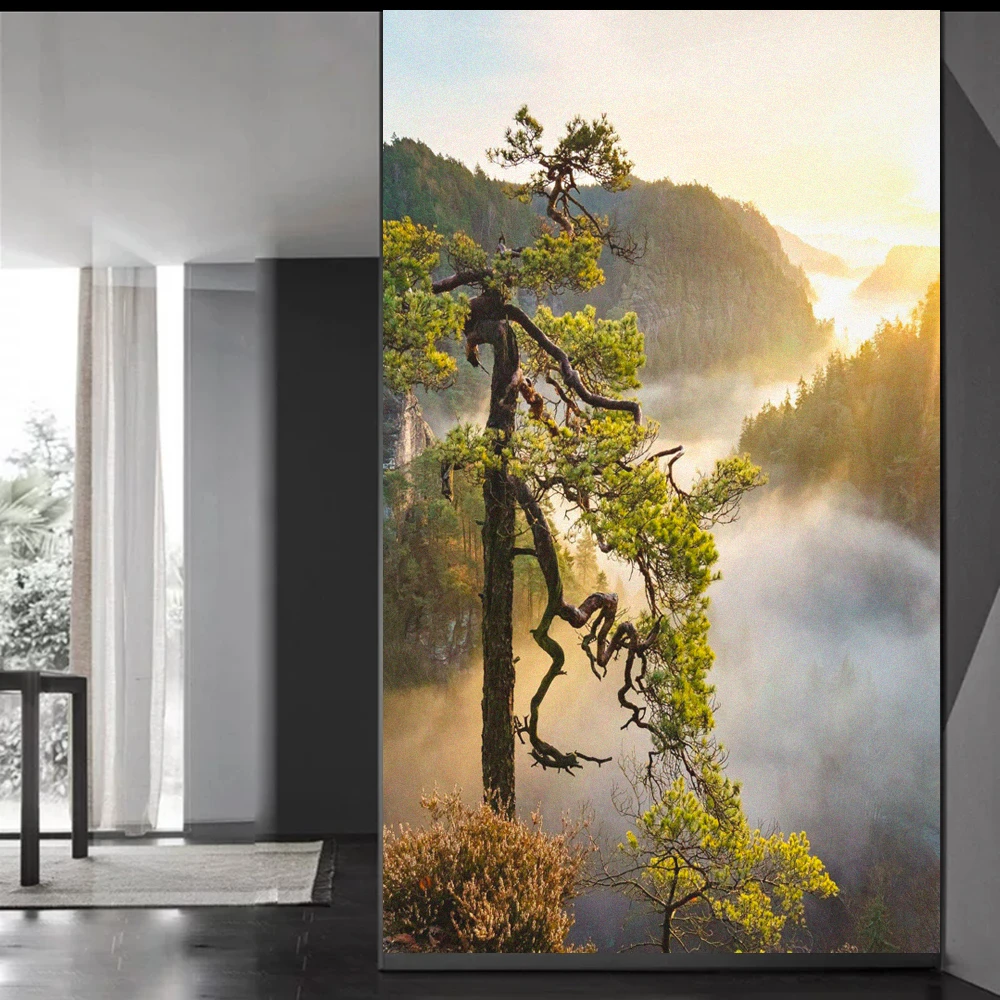 

Статическая липкая матовая не прозрачная оконная пленка для конфиденциальности, контроль тепла, УФ-блокирующая стеклянная наклейка, лесной узор, оттенок окна