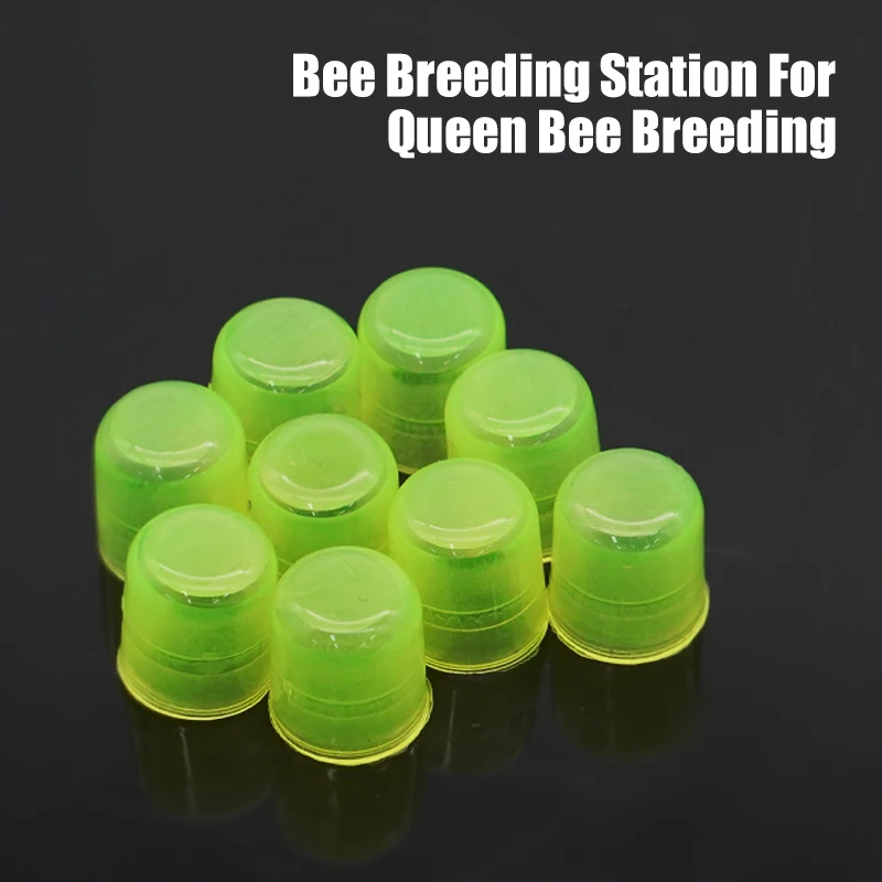 120/240/480 шт. Bee Queen Rearing King Cups Зеленый цвет Клетки для ячеек Комнатные чашки Клетка