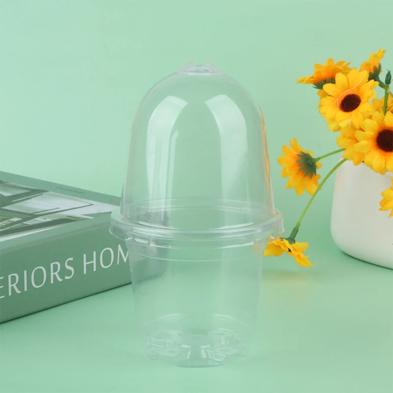 Прозрачный пластиковый горшок с крышкой для выращивания семян домашних животных