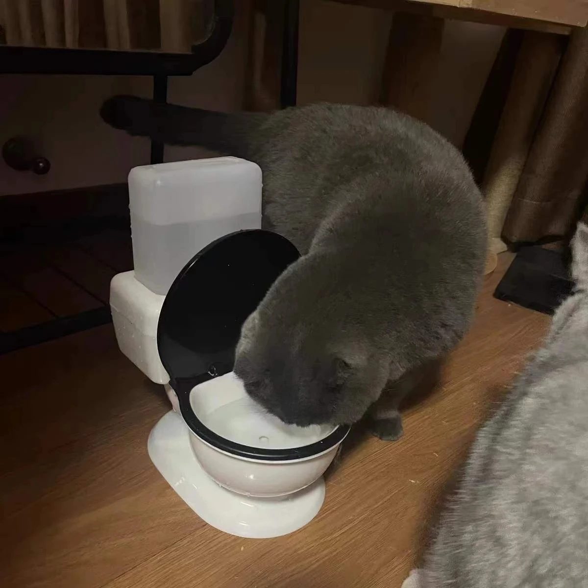 Диспенсер для воды домашних животных креативный Забавный Унитаз кошек миска