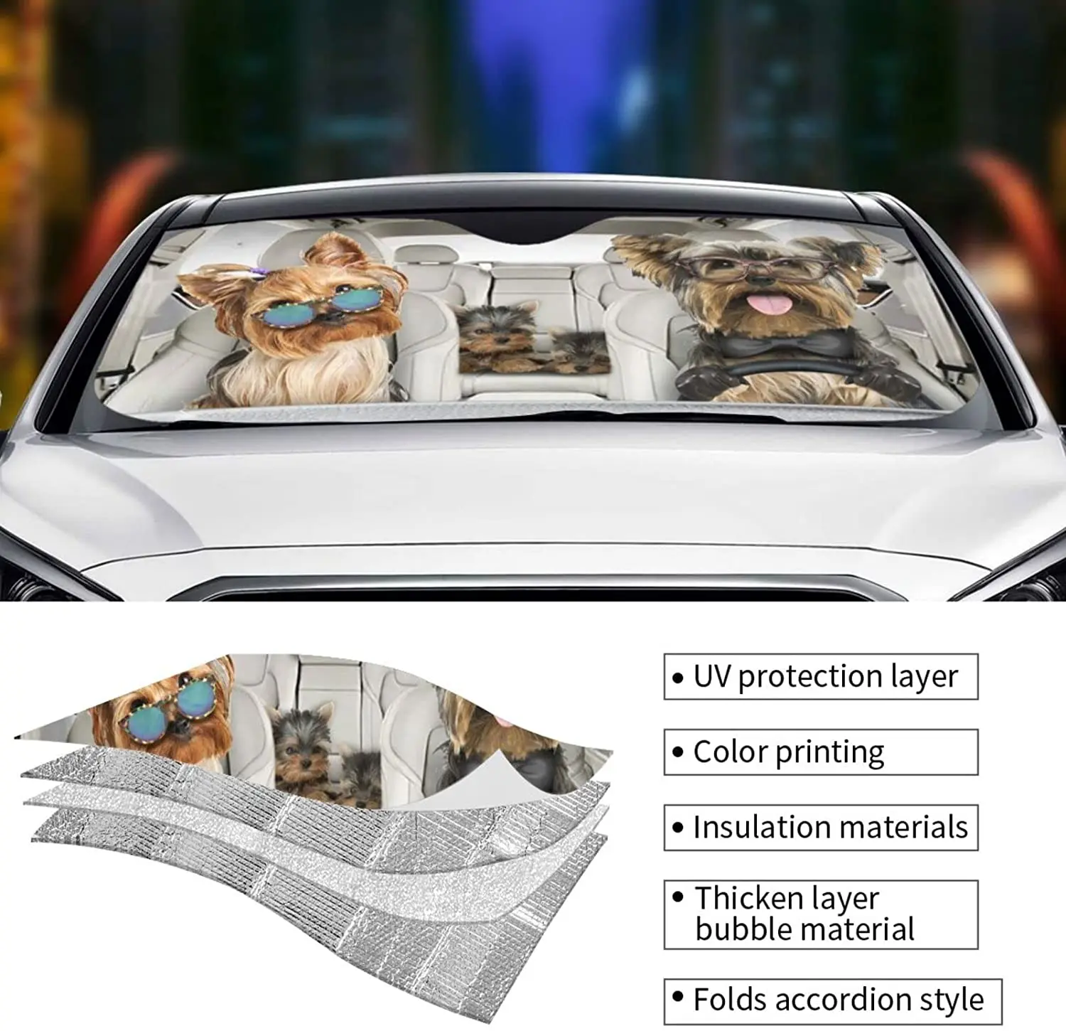 Рисунок 5 - Солнцезащитный козырек на лобовое