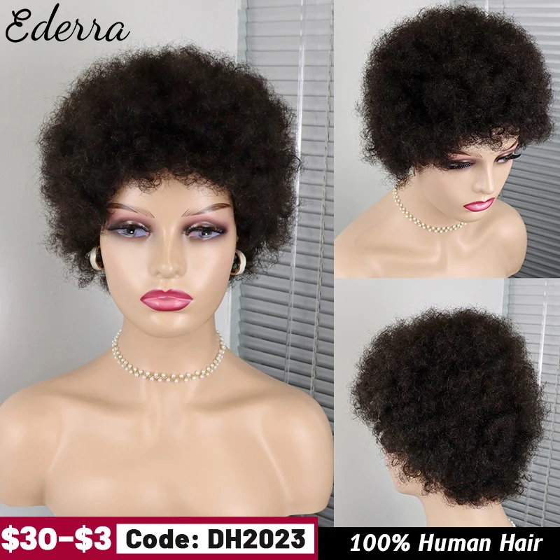 

Fluffy Afro Kinky Curly Wig For Black Women Remy Brazilian 100% Human Hair Short Sassy Human Hair Wigs Natural Brown Burgundy