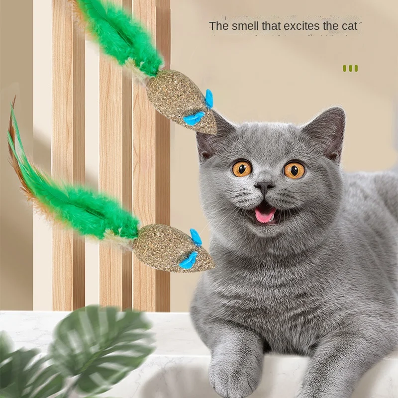

Pet cat mouse type catnip feather cat supplies cat treats colored feather catnip toy accessories