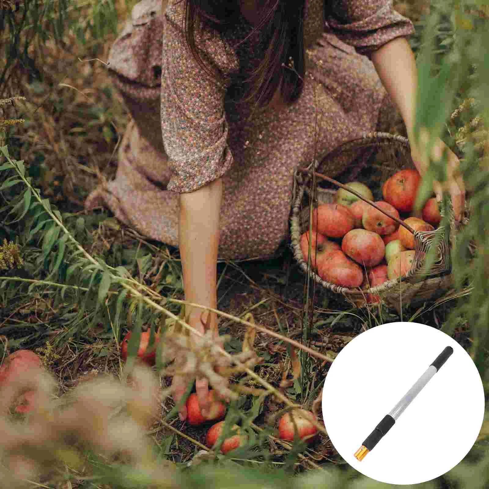 

Picker Fruit Nut Gatherer Pole Harvester Telescopic Rod Walnut Collector Walnuts Tool Adjustable Extension Weasel Catcher Upper