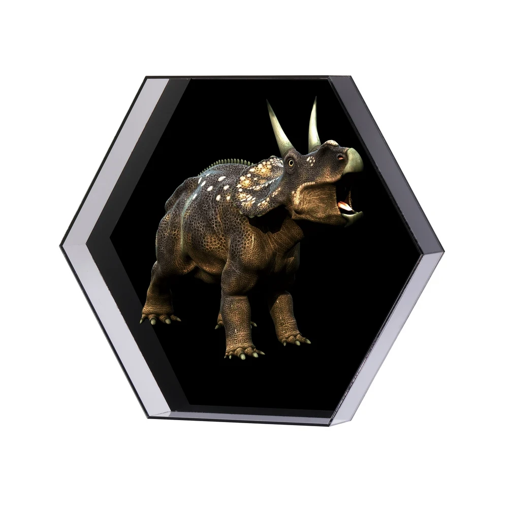 

3D Hologram Projector Light Hexagonal LED Fan Holographic Player Advertising Display Logo Support Images Video