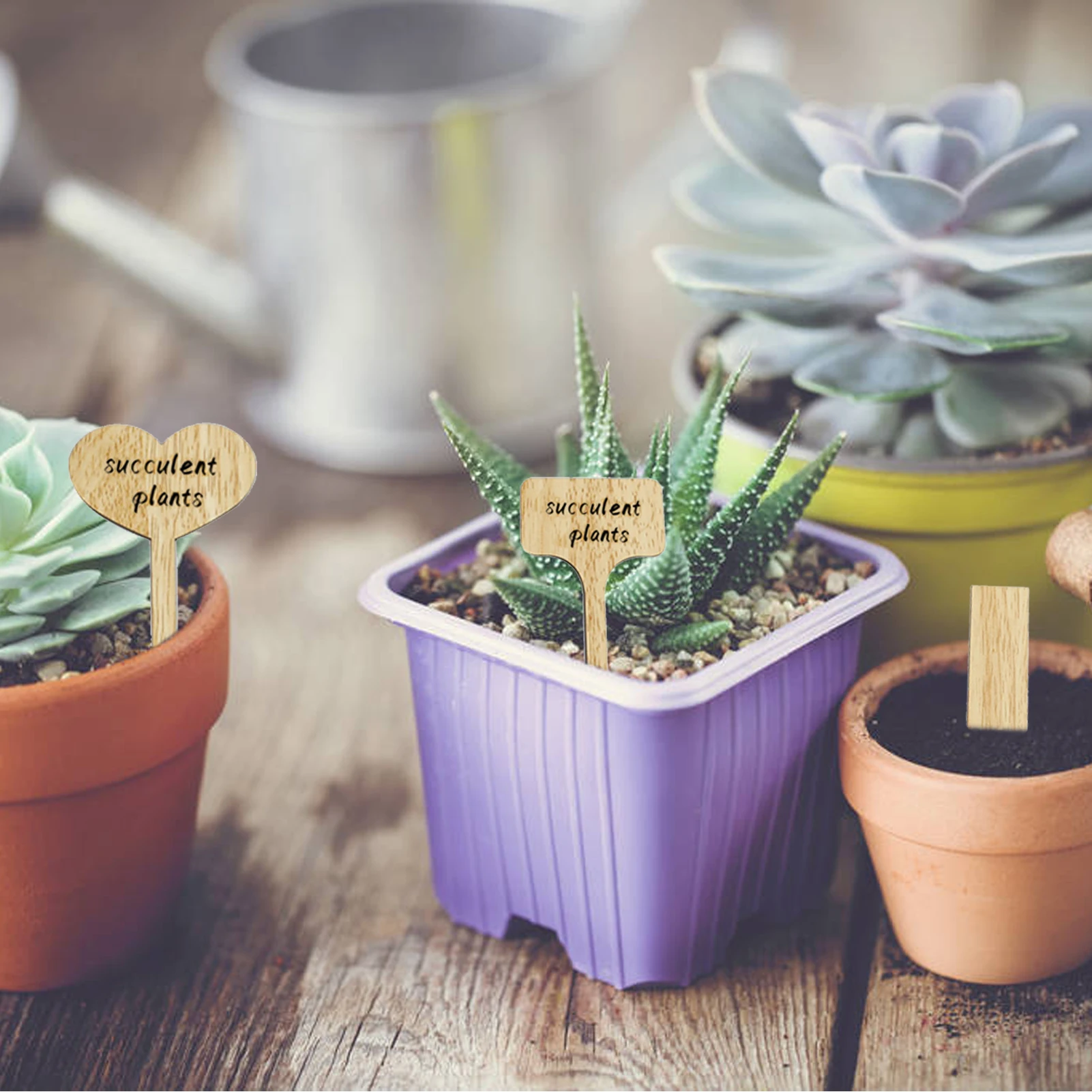 

Этикетки для растений, деревянные садовые маркеры для растений, 60 шт.