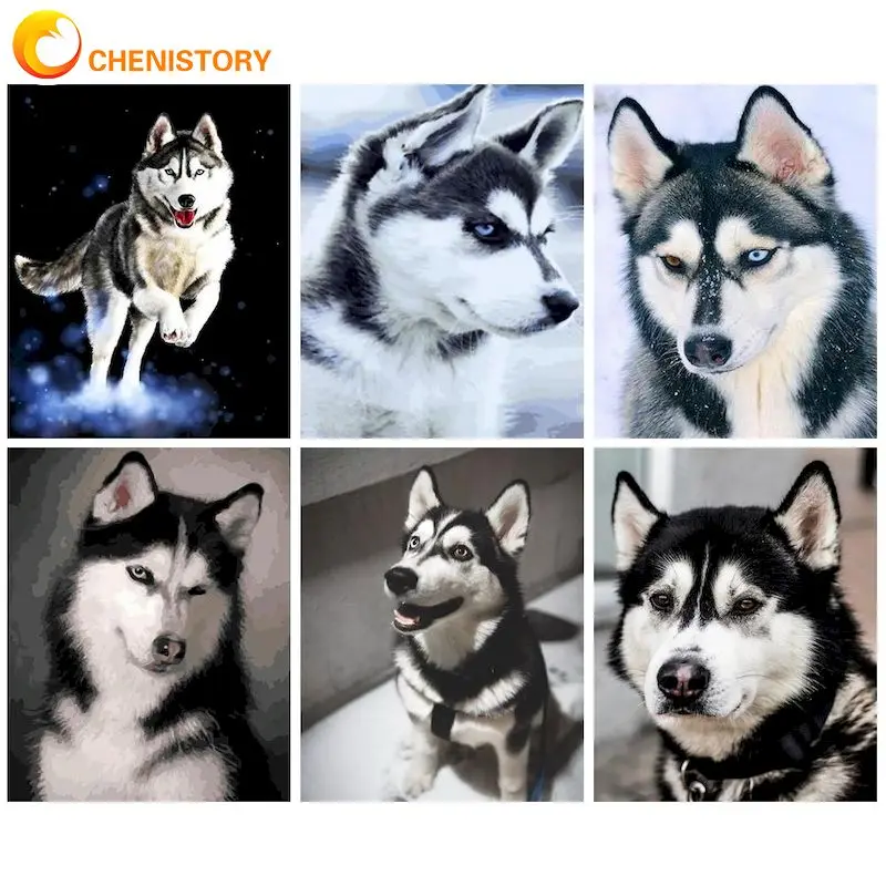 

CHENISTORY Acrylic Painting By Numbers Original Gifts Pictures By Numbers Husky Dog Paint For Painting Adults Crafts Wall Art