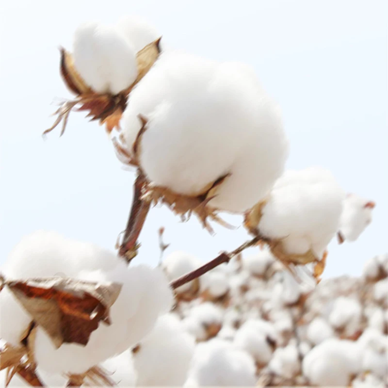 200/222 шт./упаковка увлажняющие хлопковые салфетки для снятия макияжа |