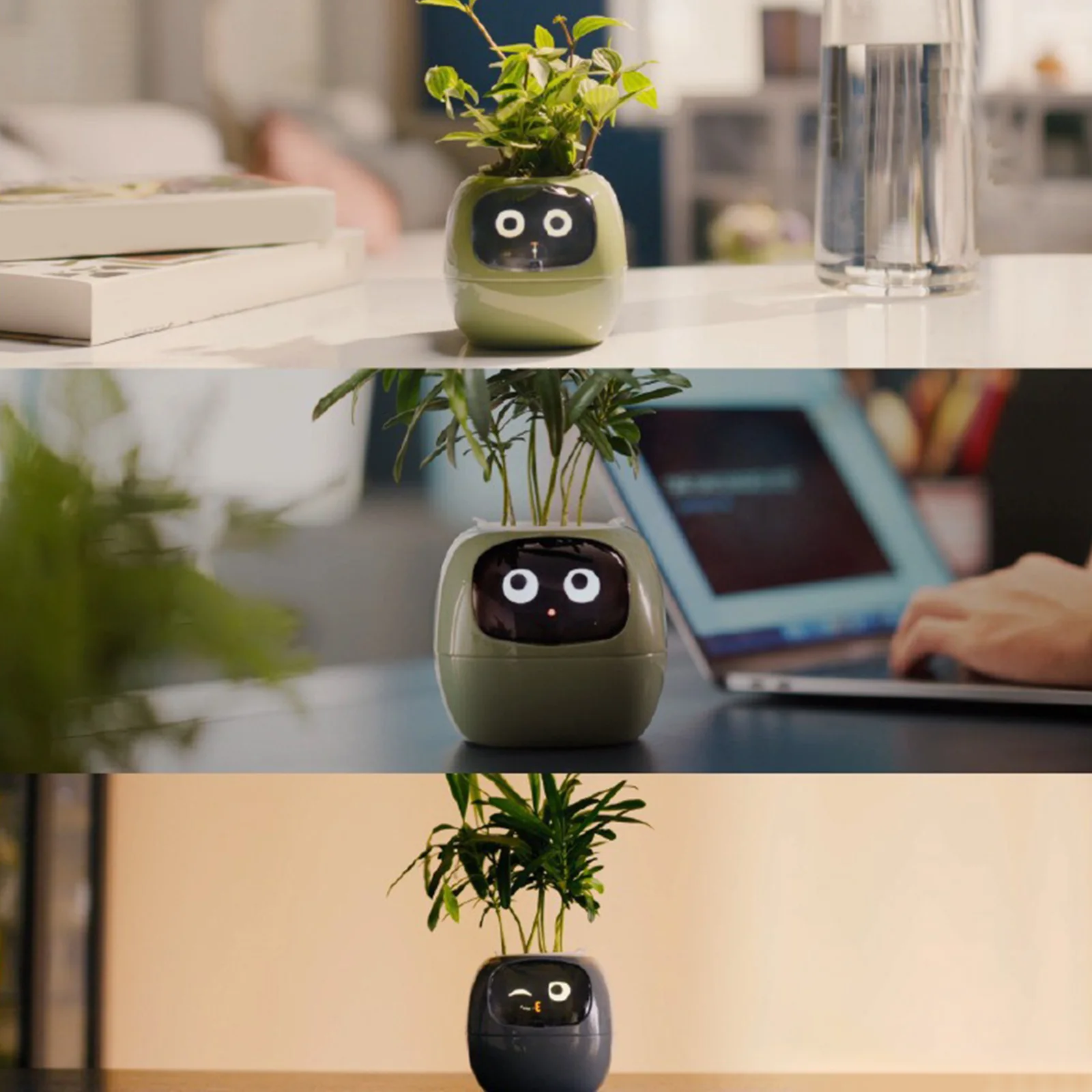 Умный цветочный горшок для растений несколько выражений время погода аккуратный