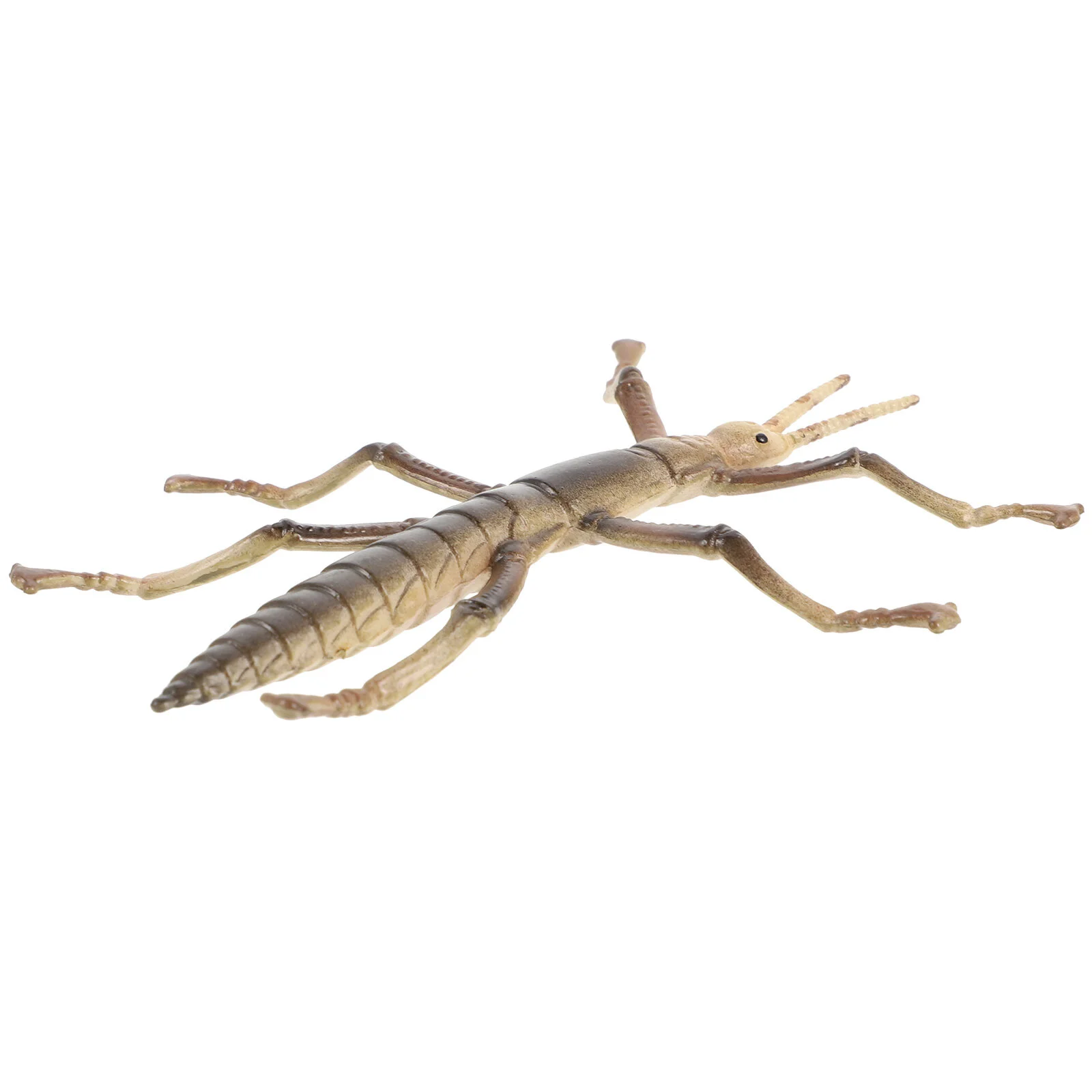 

Stick Insect Model Learning Toy Plastic Bugs Crawling Toys Decorative Kids Plaything Educational Children Accessory Ornaments