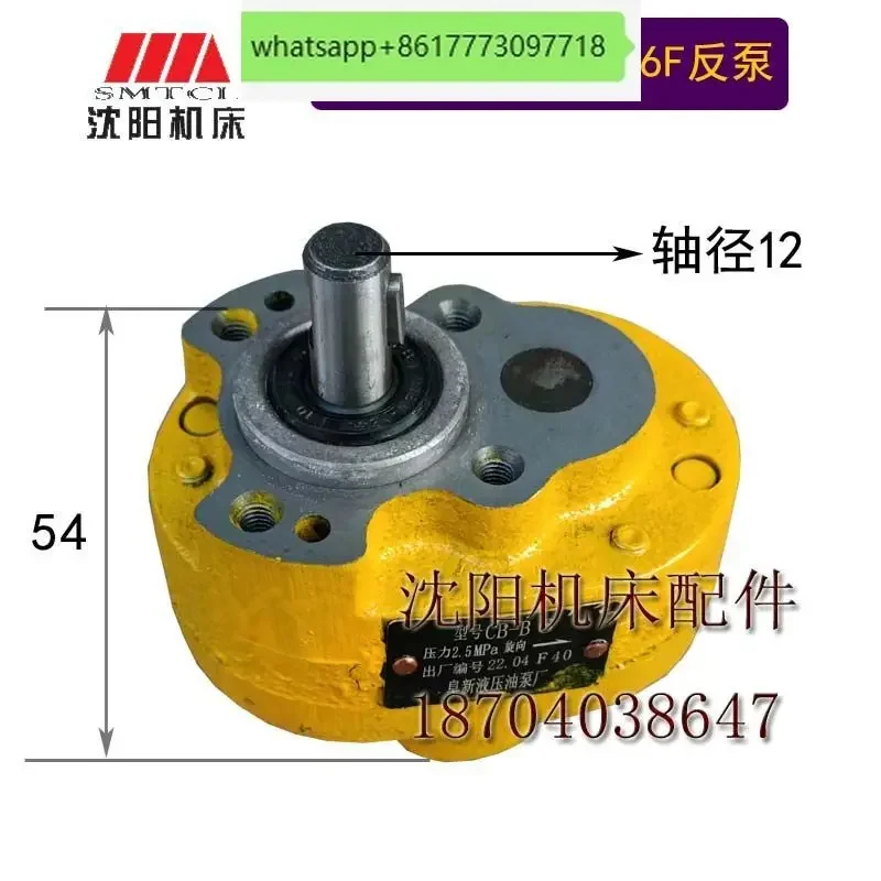 Shenyang Dalian CW6163CW6180 токарное опорное масло CB-B6 шестеренчатое шестеренный насос