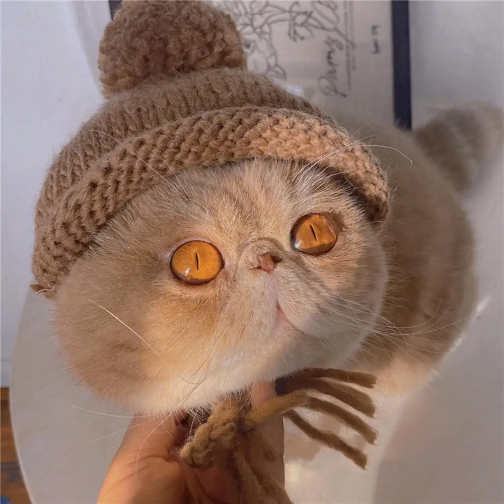 Шляпа для животных с шариком вязаные теплые однотонные фиксирующие ленты улицы