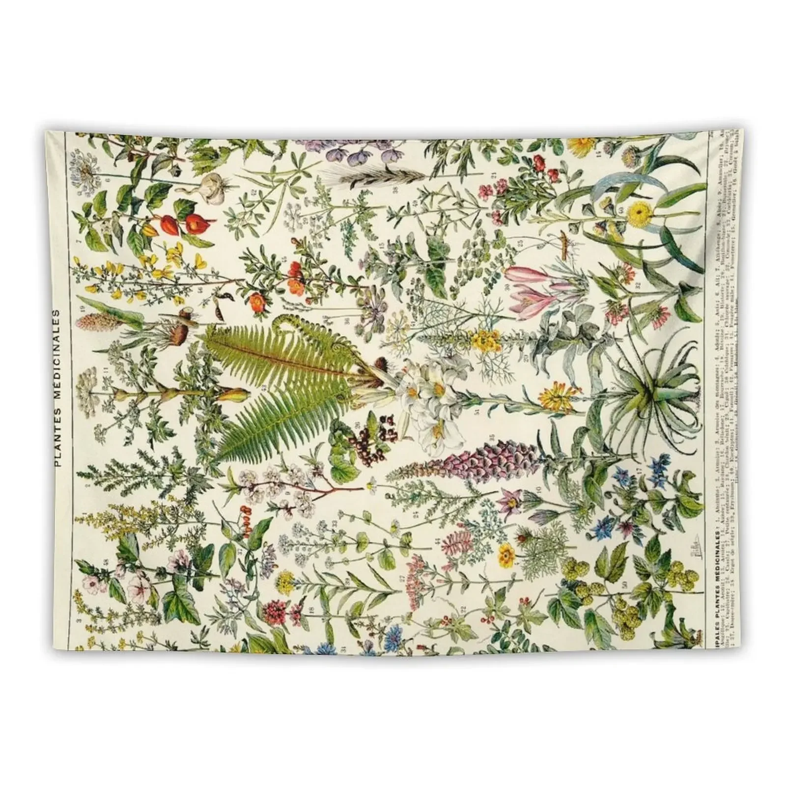 Адольф миллот лекарственные растения винтажная научная иллюстрация larcase