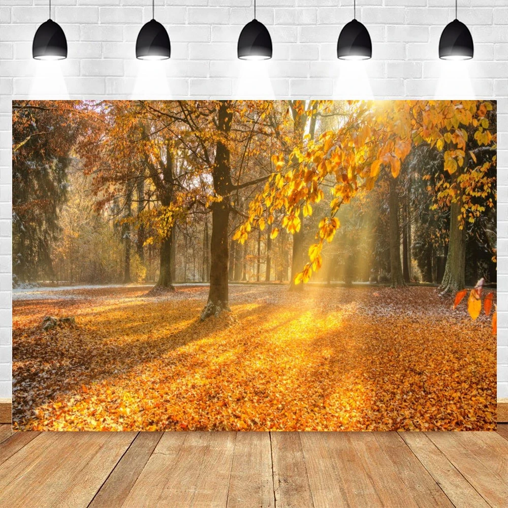 

Осенний лес природа пейзаж фон дерево опавшие листья Солнечный свет ребенок портрет фотография фон для фотостудии реквизит