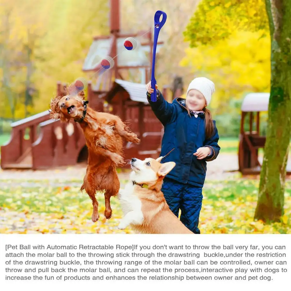 Прочный водо-и влагозащищенный мяч-Метатель против царапин |