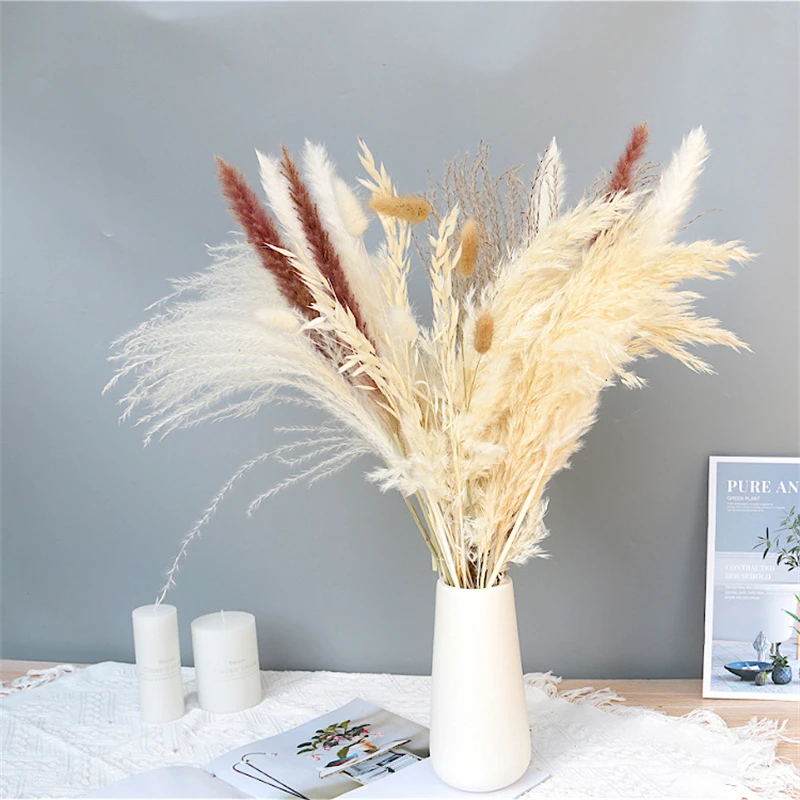 

Dried Pampas Free Dhipping Flower Bouquet Boho Wedding Accessories Deco Bohemian Decoration Bunny Tail Grass For Home House
