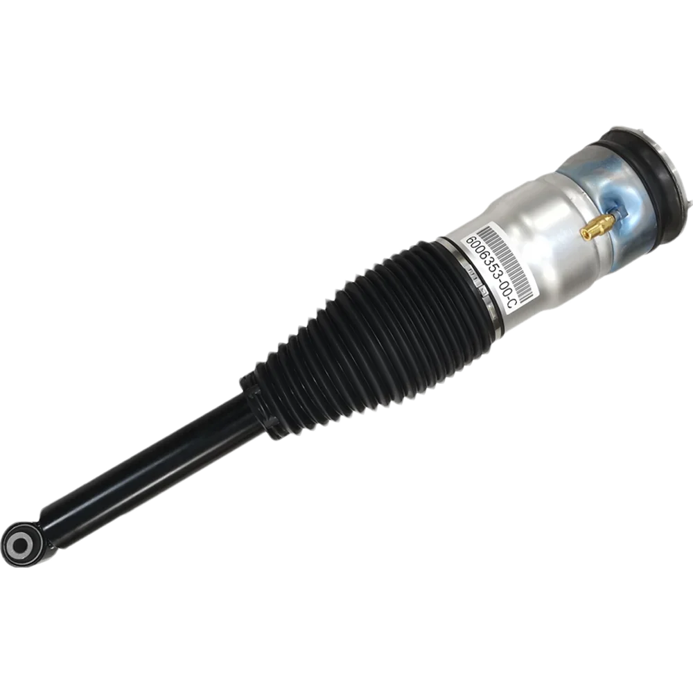 RTS Пневматическая подвеска Пружина Автозапчасти RWD Задний автомобильный