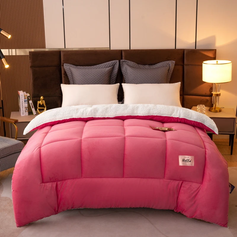 Autumn and winter quilt vacuum lamb's wool thickened warm dormitory shipping student bedding