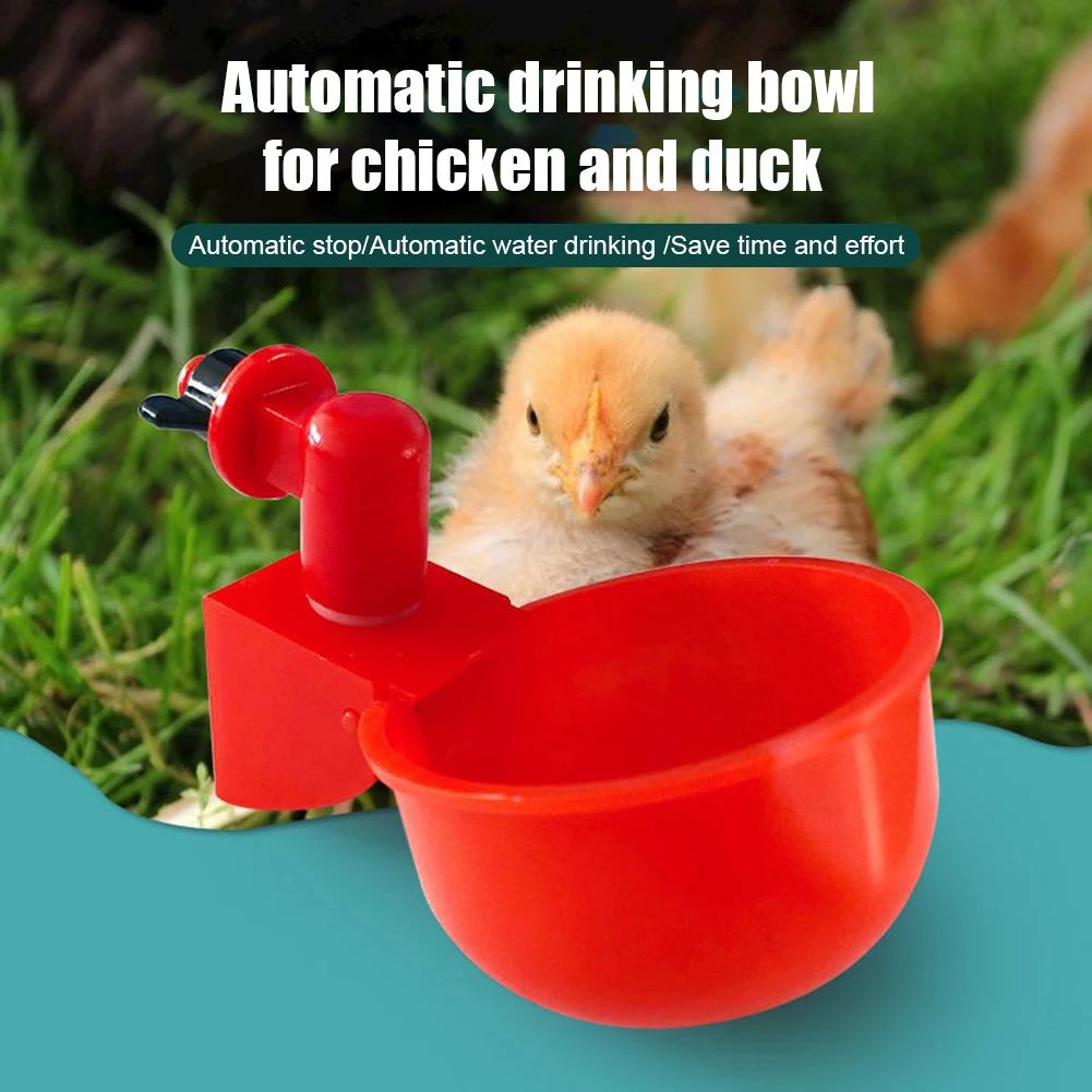 Automatic Chicken Water Cup Waterer Bowl Kit Farm Coop Poultry Waterer Drinking Water Feeder for Chicks Duck Goose Turkey Quail
