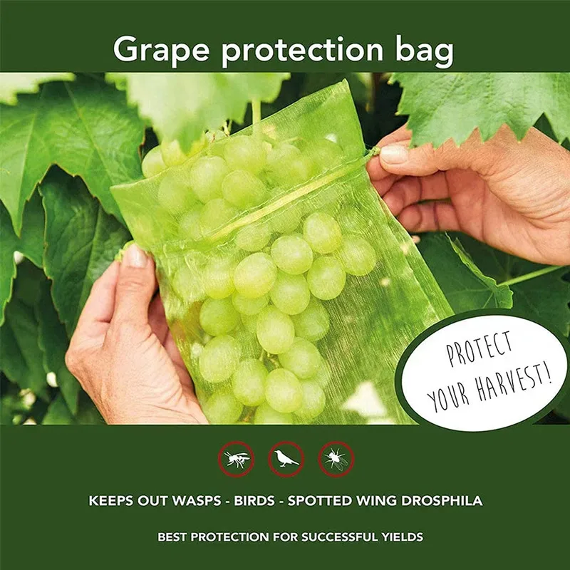 

10/20/50PCS Fruit Protection Bags for Fruit Trees Cover Mesh Bag with Drawstring Netting Barrier Bags for Plant Fruit Flower