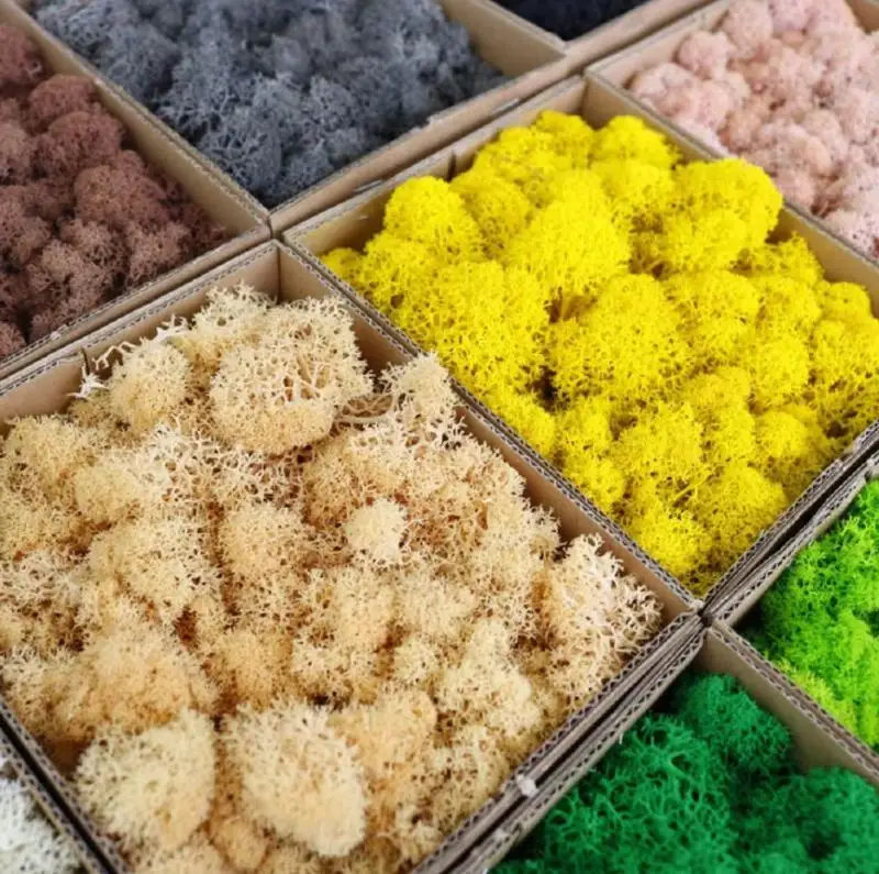 Искусственная трава из Моха