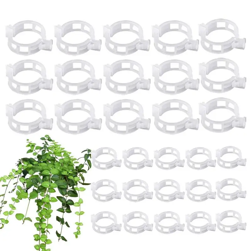 

Tomato Clips 100PCS Grape Vine Clamps Support Clips For Climbing Trellis Flower Crop Orchid Vegetable To Grow Upright Healthier