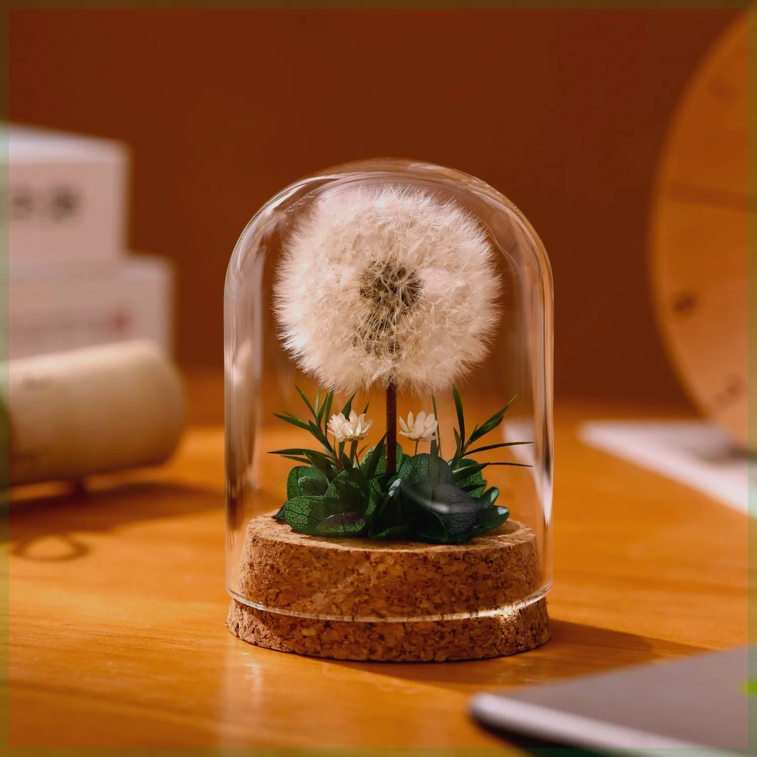 

Консервированный цветок одуванчика в колбе