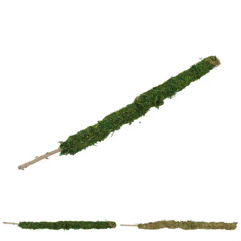 

Moss Pole Bendable Safe Moss Plant Rod Plant Support Gardening Tools for Indoor Climbing Plant Plant Support Gardening Tools