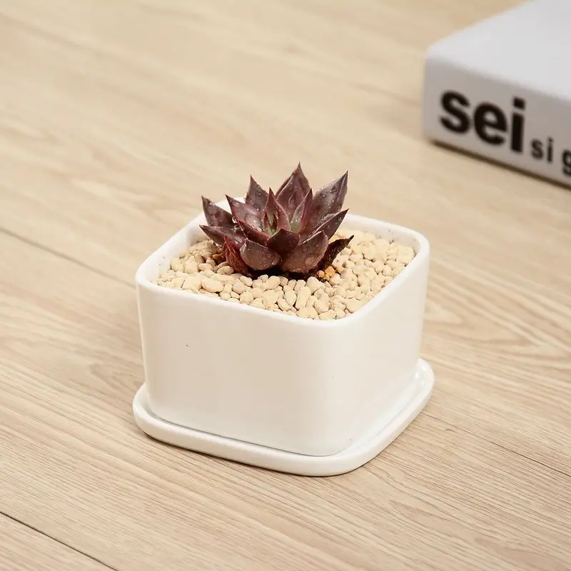 Высокая фотография, керамический цветочный горшок, мультяшная ваза, индивидуальное творческое растение Cactu, суккуленты, настольный садовый декор