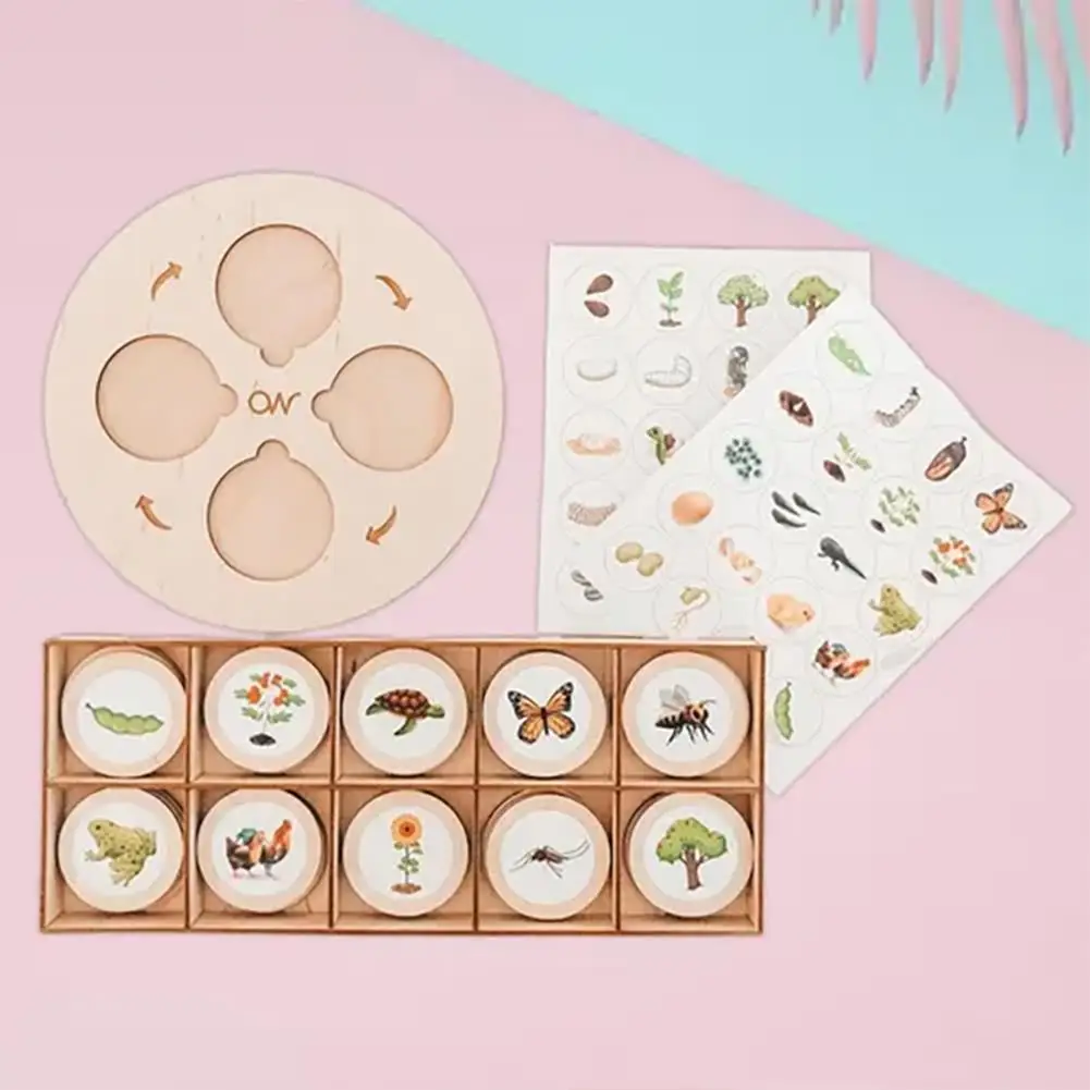 

1pcs Montessori Life Cycle Tray Game Wooden Teaching Children Educational Puzzle Teaching Biological Aids Toys Aids Science D5z1