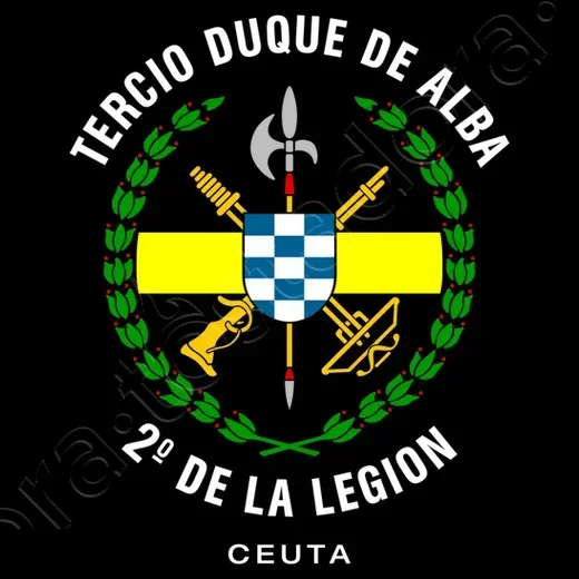 Испанский Tercio 2o Legión Extranjeros Мужская толстовка с капюшоном Повседневная осенне-зимняя толстовка из 100% хлопка (art.: 3920ccfd97876) - 3920ccfd97876