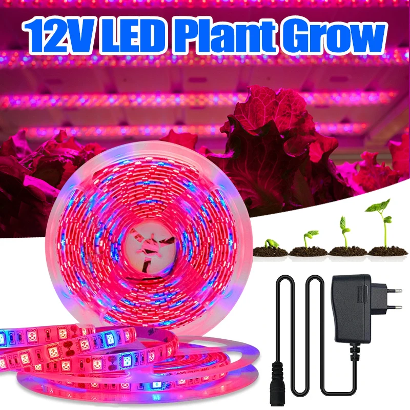 

12V LED Plant Grow Strip Lights SMD5050 5M Full Spectrum Flower Phyto Lamp for Greenhouse Hydroponic Growth Light +Power Adapter