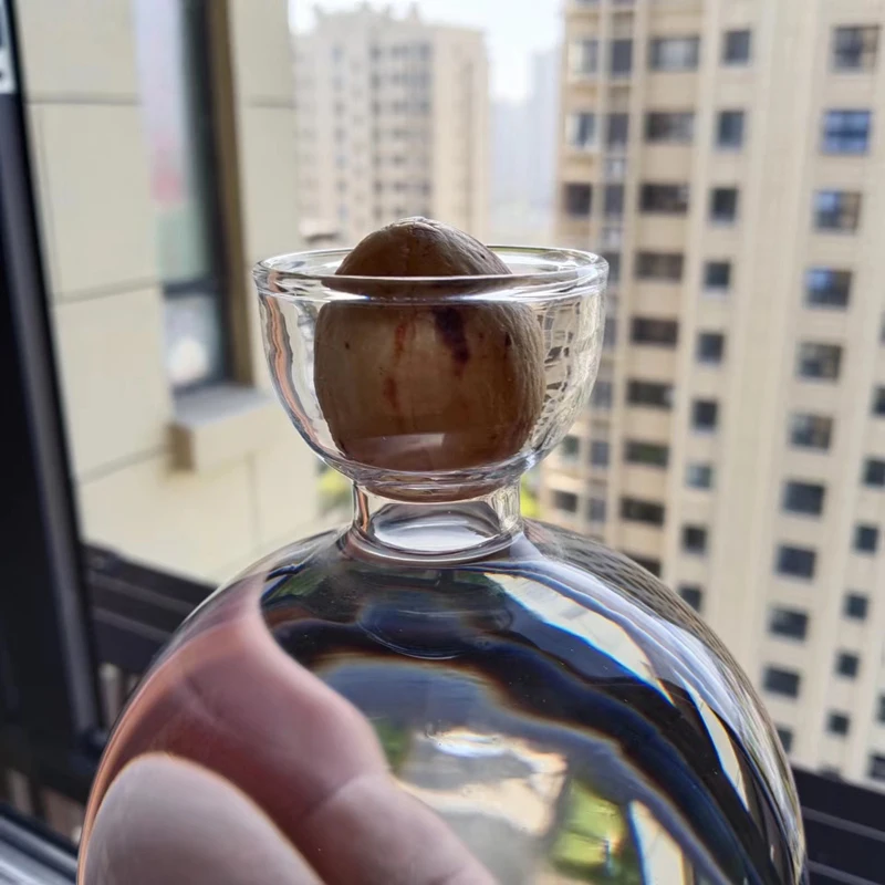 Бутылка из прозрачного стекла для гидропонных семян цветочные горшки с семенами