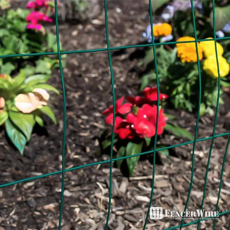 16 Gauge Green Vinyl Coated Welded Wire Mesh Size 2 inch X 3 5 ft x50 feet