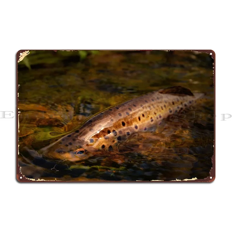 

Дикая коричневая форель металлический знак ржавый паб дизайн кинотеатра оловянный плакат