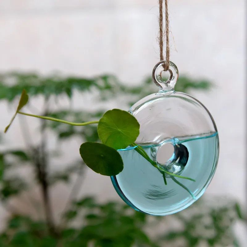 

Creative Donut Money Hanging Transparent Glass Vase Home Decore Vase Ddecorated Nursery Hotel Small Bottle