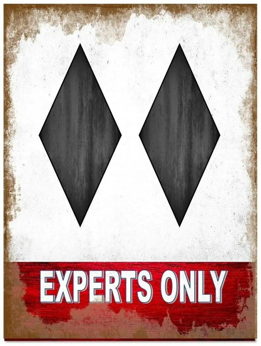 

ZMKDLL Retro Expert Skiers Novelty Metal Wall Sign Skiing Pub Sign Ski Slopes Sign Ski Sign Indoor Metal Wall Panel Retro